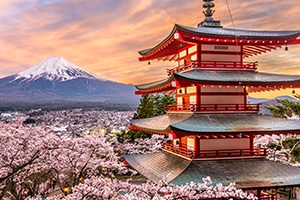 Moving to Japan