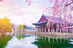 Moving to South Korea