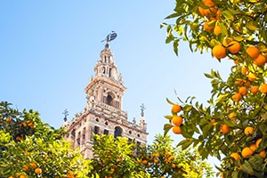 Moving to Spain