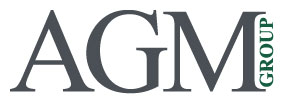 AGM International moving group