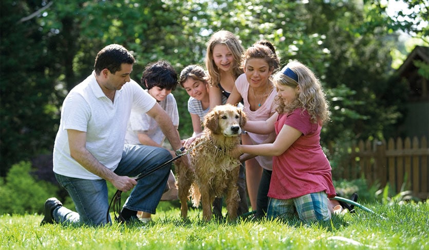 Family-washing-their-dog
