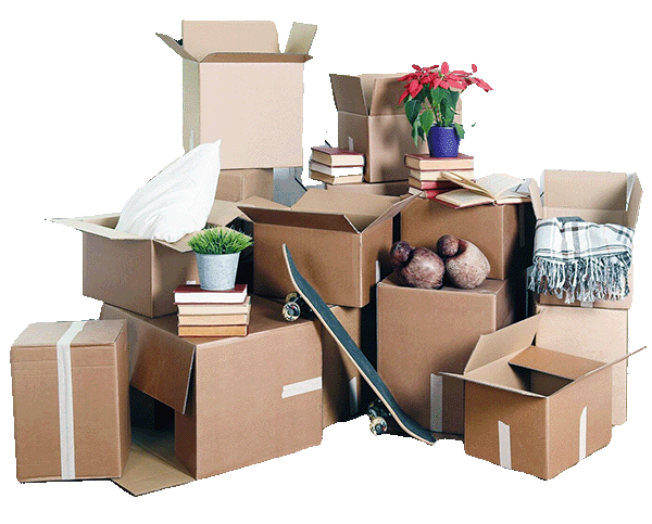 Moving home with cardboard boxes