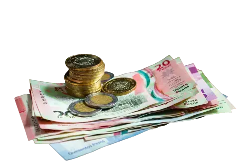 currency-banknotes-coins-arrangement