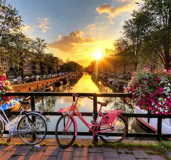 Beautiful sunrise over Amsterdam, The Netherlands, with flowers and bicycles on the bridge in spring