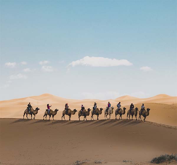 Vertical shot of people riding camels on a sand dune in the desert