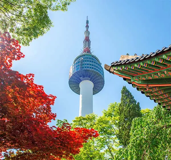 seoul-tower-with-gyeongbokgung-roof-red-autumn-maple-leaves-namsan-mountain-south-korea