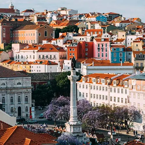 High perspective view of rossio square in baixa district of lisbon city portugal covered with violet jacaranda leaves